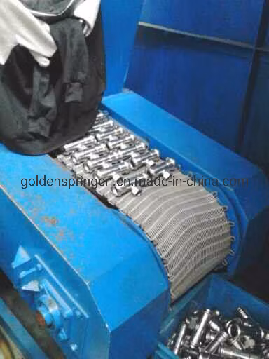 Four à bande de maille de recuit brillant en acier inoxydable de haute qualité de la Chine